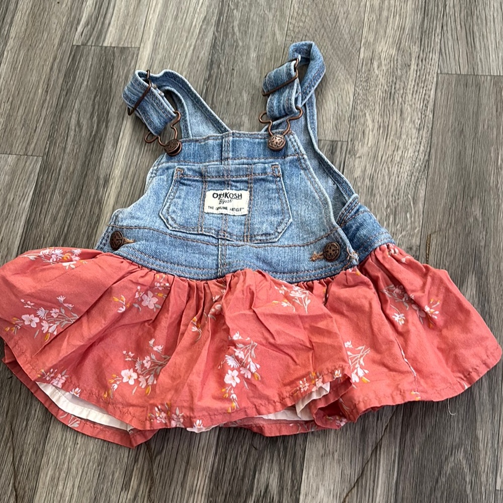 OshKosh B'gosh Pink and Blue Overalls with Floral Skirt